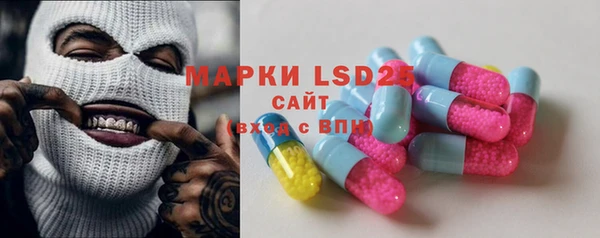 индика Горняк