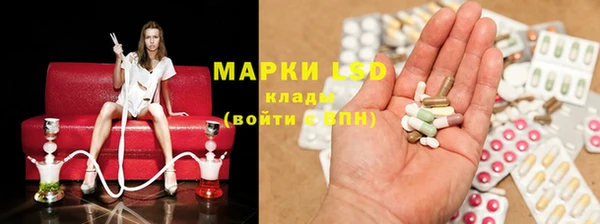 индика Горняк