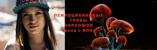 МДПВ Остров