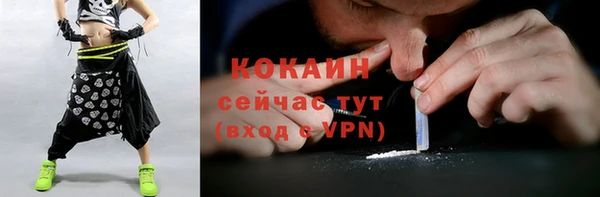 индика Горняк