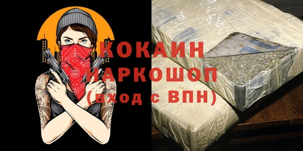 индика Горняк