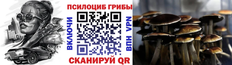 KRAKEN зеркало  Губкин  Псилоцибиновые грибы ЛСД 