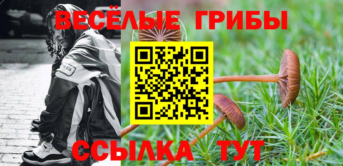 Галлюциногенные грибы мухоморы Губкин