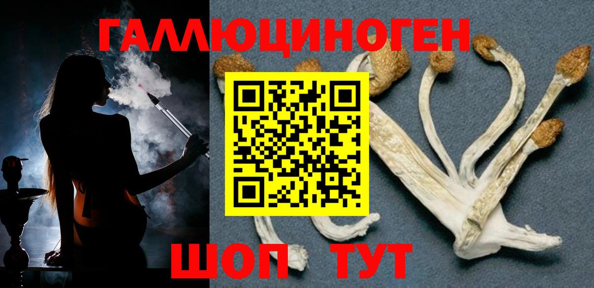 Галлюциногенные грибы Psilocybe  Губкин 